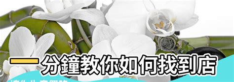 生意興隆方法|風水師:如何擺設店鋪引財旺生意